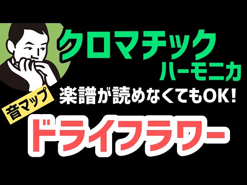 【楽譜が読めなくてもOK♪】優里さんの『ドライフラワー』をクロマチックハーモニカで練習しよう♪