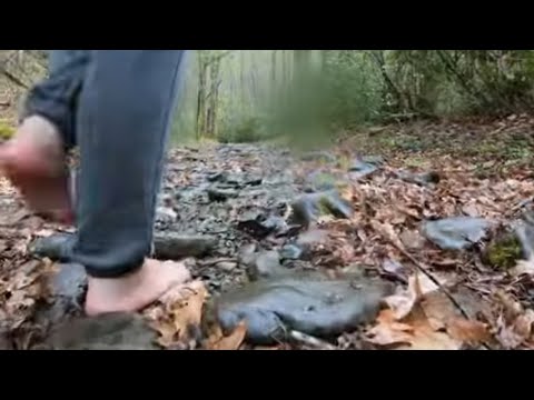 Barefoot Hiking | Rain | Elk