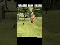 Jurassic bark is real