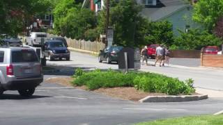 Cat rescue in shepherdstown wv!!