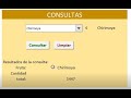 Consultas en Excel usando controles de formularios