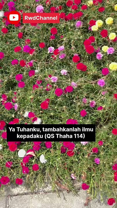 Ya Tuhanku, tambahkanlah ilmu kepadaku (QS Thaha 114)