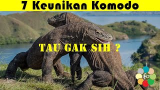 Tau Gak Sih ? Ternyata ini 7 keunikan Komodo