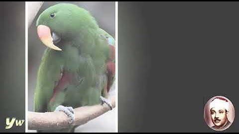 30  ArRoom  سورة الروم القارئ عبد الباسط عبد الصمد