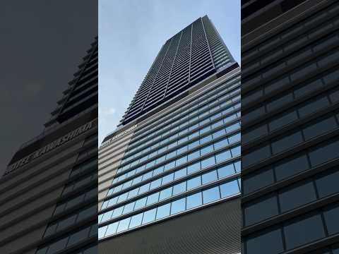 猿猴橋(えんこうばし)   広島市南区猿猴橋町~的場町(猿猴川)   #広島 #広島市 #被爆 #橋 #大正ロマン #西国街道 #広島城 #猿猴橋 #観光 #原爆 #シンボル #被爆橋梁 #広島城
