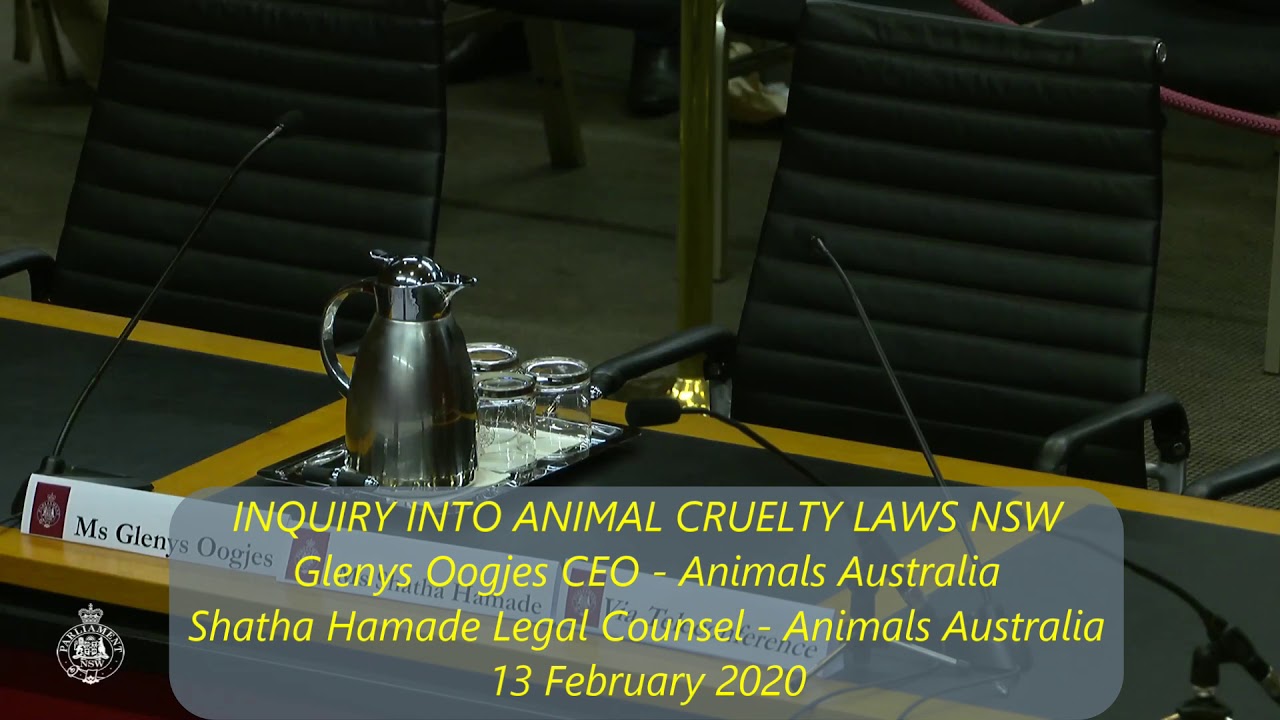 Nsw Animal Cruelty Laws