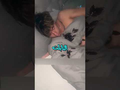 اتخض من صرصور وهمي أكتر من الحقيقي غرائب  