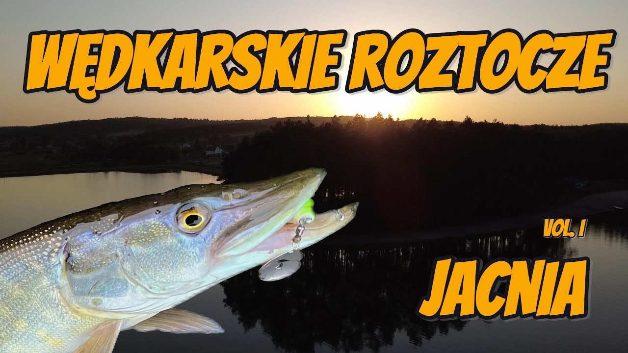 Odtwarzacz wideo YouTube