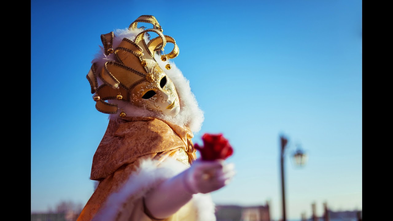 Carnaval Des Animaux  YouTube