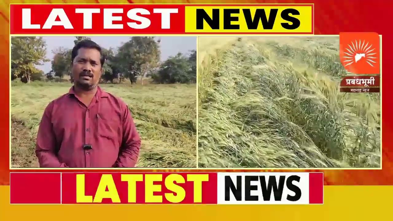 जिल्ह्यात अवकाळीचा तडाखा; ५३४ हेक्टरवरील पिकांचे नुकसान, वीज पडून पाच जखमी