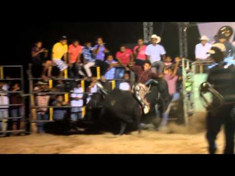 Terror De La Costa Vs Zamuray