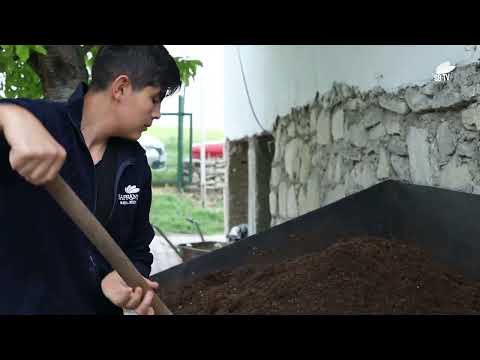 SAFRANBOLU BELEDİYESİ SERALARINDA 200 BİN ADEDİN ÜZERİNDE ÇİÇEK ÜRETİMİ YAPILDI