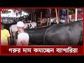 রাজধানীতে গাবতলী গরুর হাটে বেড়েছে শেষ মুহূর্তের বেচাকেনা | Qurbani | Dhaka | Cow Bazar | Somoy TV