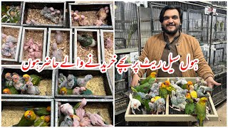 Multan Sunday Birds Rasheedabad latest Update I 28 January 2024