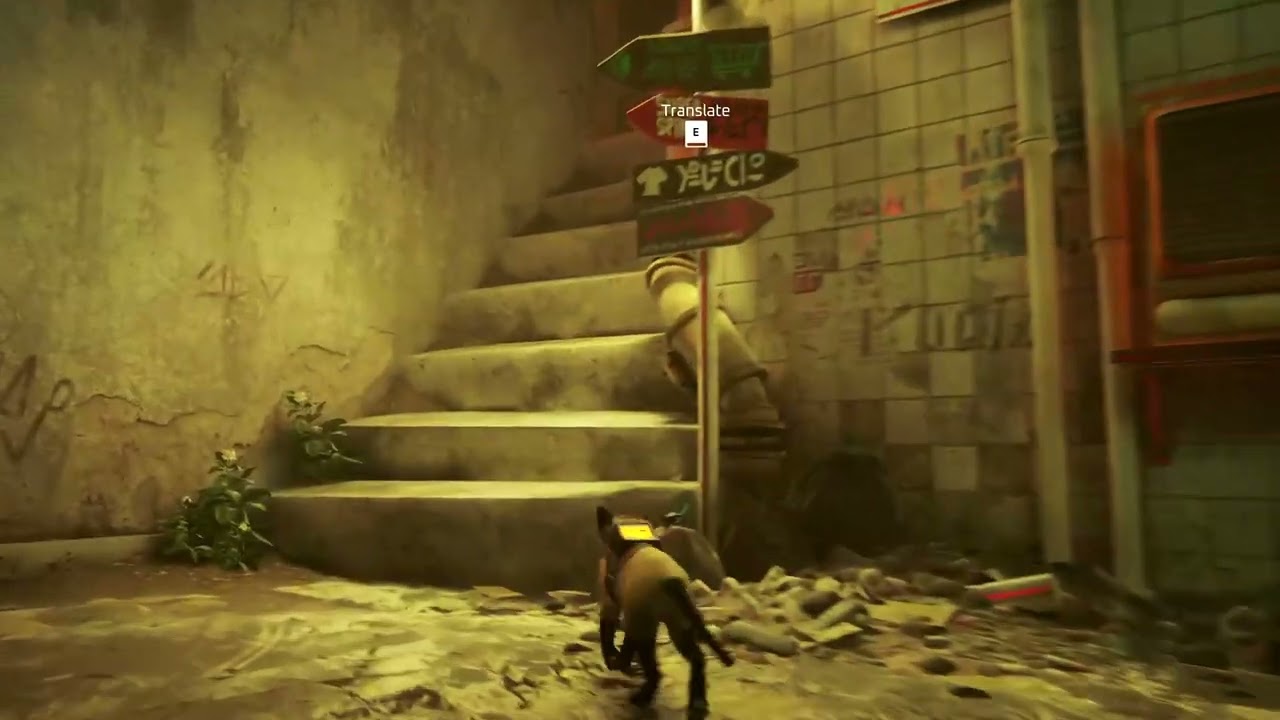 Stray Siamese Cat mod