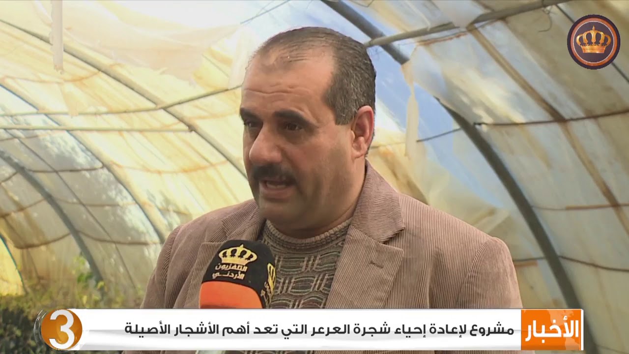 مشروع لإعادة إحياء شجرة العرعر التي تعد أهم الأشجار الأصيلة