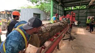 Sawmill Operations in Costa Rica High Quality-Premium Teak Wood | Aserradero y Madereo Teca en CR🇨🇷