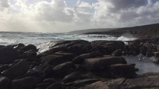 Petrified water wheel - Cape Leeuwin