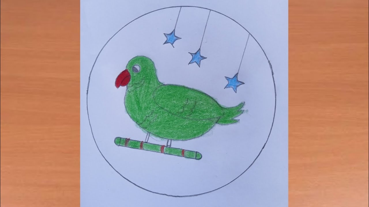 How to draw parrot drawing and shading pencil art and \\ colour