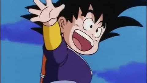 Dragon Balls 6th Arc The 22nd World Martial Arts
