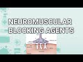 Cholinergic antagonist |Neuromuscular blockers |Autonomic nervous system |Animation