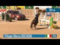 Filippo Marco Bologni with Quidich de La Chavee wins DeNiroBootCo prix