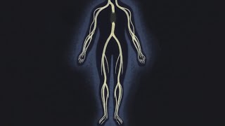 How Your Lymph System Moves Without A Pump