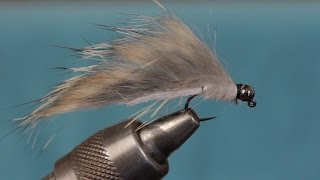 Swimming Crane Fly Larva