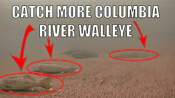 Catch More Columbia River Walleye