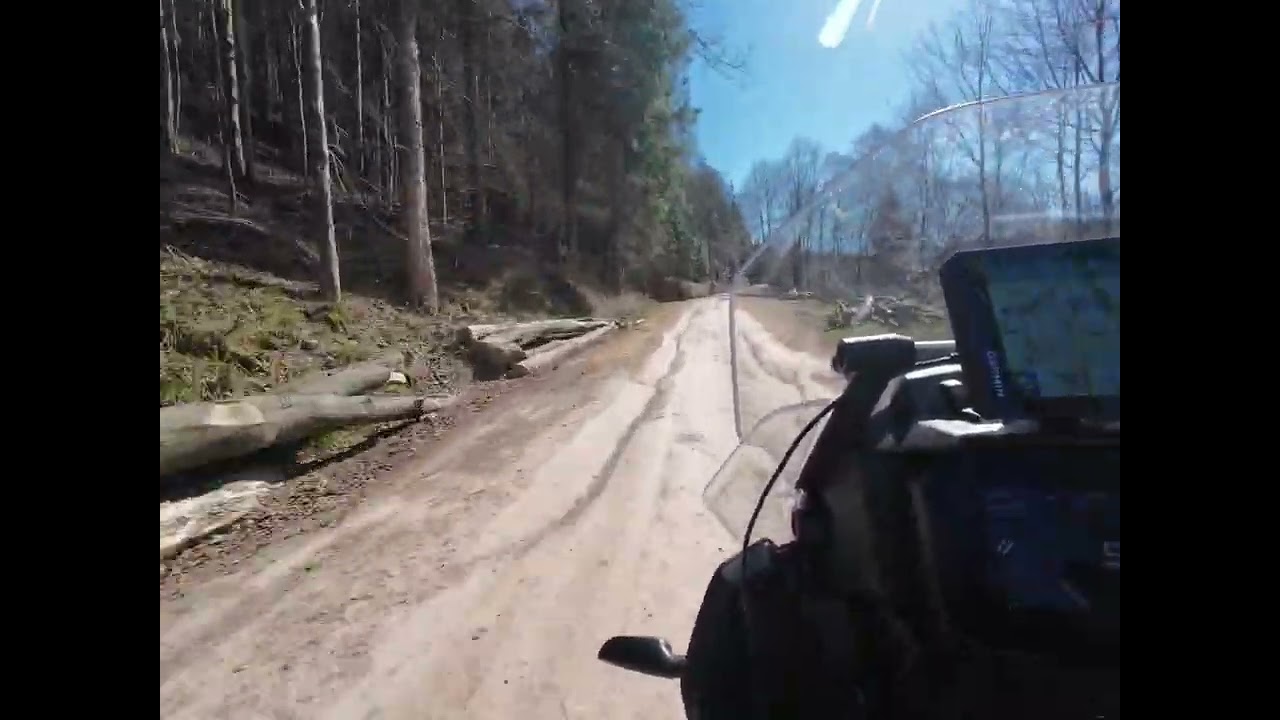 Kleine Legal befahrbare Schotter Straße lm Schwarzwald  mit der Moto Guzzi Stelvio  (2024)