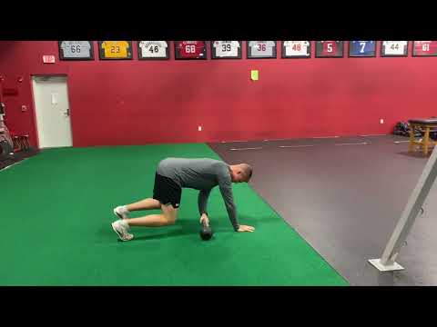 Bear Position w/ KB Pull Through