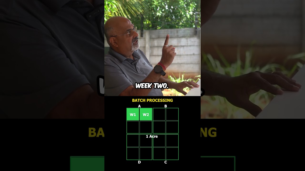 How to maintain consistent supply of vegetables across the year #farming #farmplanning #cropplanning