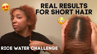 REAL Results of The Rice Water Challenge!!! Overnight Growth? (2 week Results)