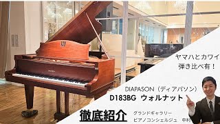 徹底解説！】【弾き比べ有】DIAPASON(ディアパソン)D183BG 紹介動画