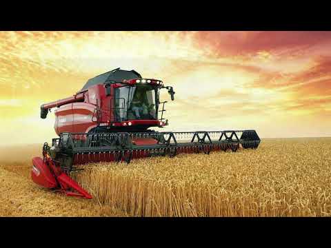 Какие бывают экосистемы?