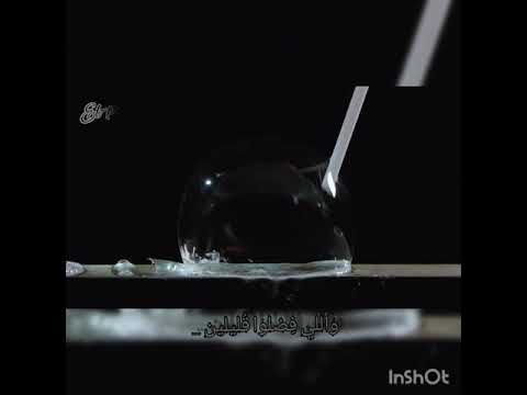 حالة واتس رامي جمال اللي مشيوا