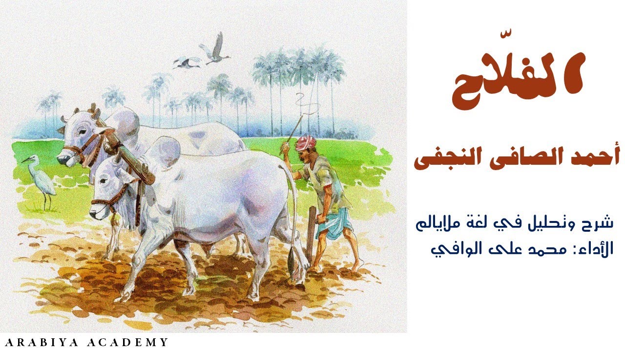 قصيدة الفلاح | أحمد الصافي النجفي| محمد علي الوافي| أكاديمية عربية