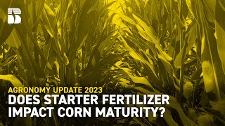 Does Starter Fertilizer Impact Corn Maturity? | Beck's Agronomy Update