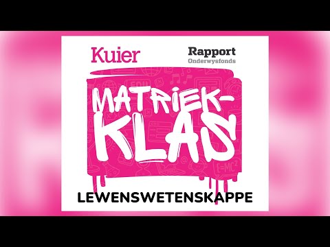 Video: Operateur-kassier is 'n wonderlike beroep in die banksektor