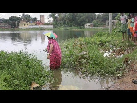 Fishing video || the village lady catching hook fishing🎣 in a wet in ...