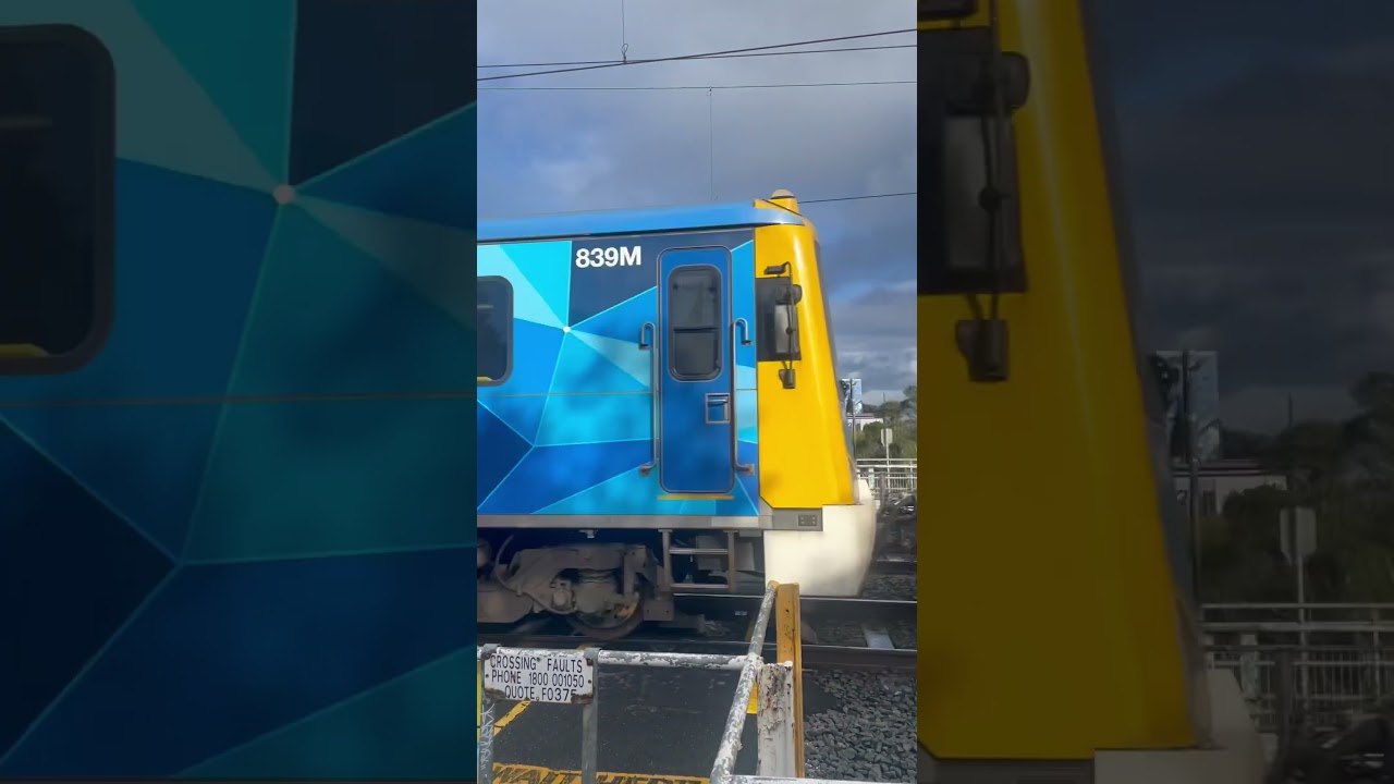 Siemens Nexus at the Coolibar Avenue pedestrian crossing ￼