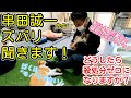 【殺処分ゼロを目指す】ねこだらけハウスで"串田誠一"先生にズバリ聞きました!!