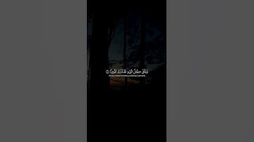 #المنشاوي_رحمه_الله  #القرآن_الكريم  #المنشاوي_حالات_واتس  #سورة_الفرقان 🩵