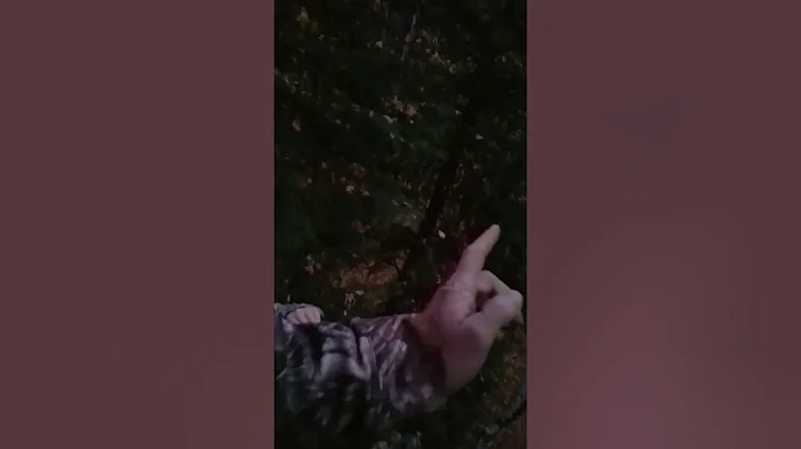 Little kid shoots buck with bow