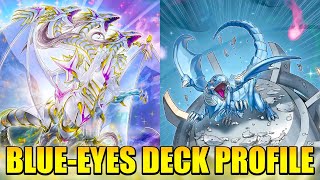 FINALLY META?! BLUE-EYES WHITE DRAGON DECK PROFILE | Yu-Gi-Oh!