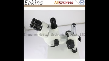 Best Stereo Microscope Industrial Microscope C Mount Microscope Adapter Support