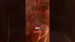 Designer Babies Could Break Society
