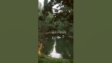تلاوه من سوره التوبه🍃القارئ عبد الرحمن مسعد 🤍