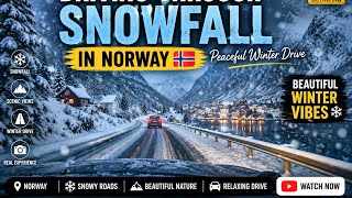 Driving Through Snowfall in Norway 🇳🇴 | Peaceful Winter Drive Beautiful Winter Vibes
