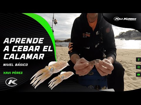 Aprende a cebar el calamar - Nivel Básico